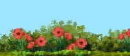 SENTI GREENERY banner