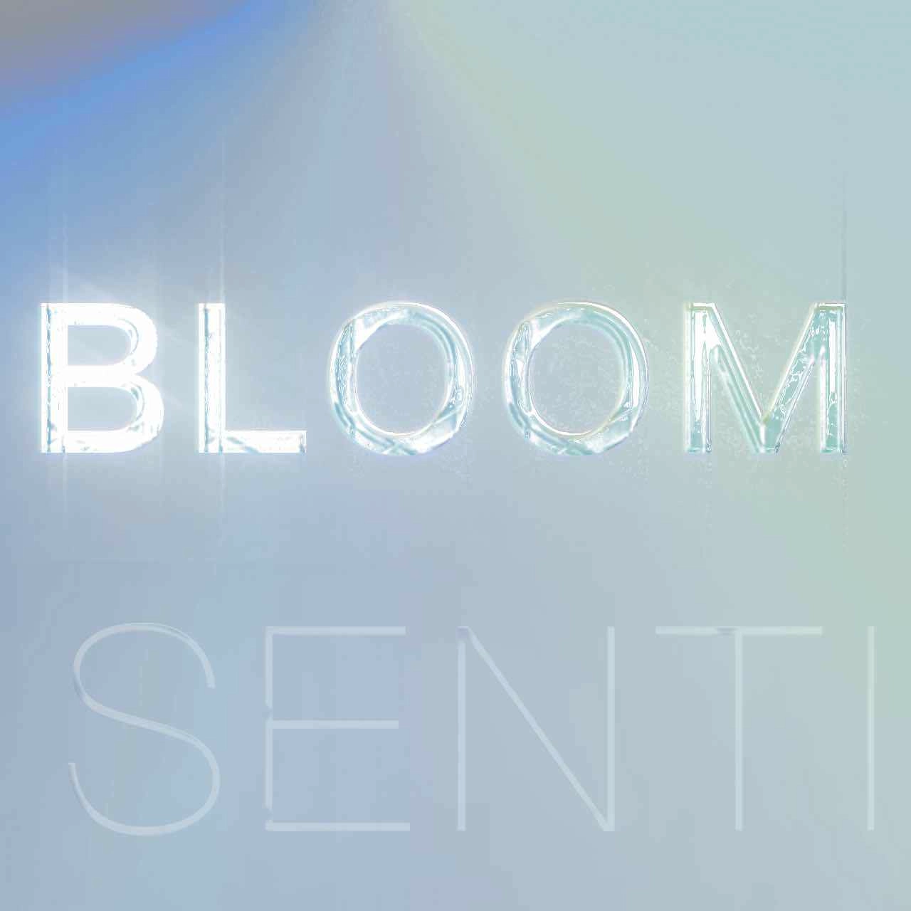 senti BLOOM - Seelen Theme