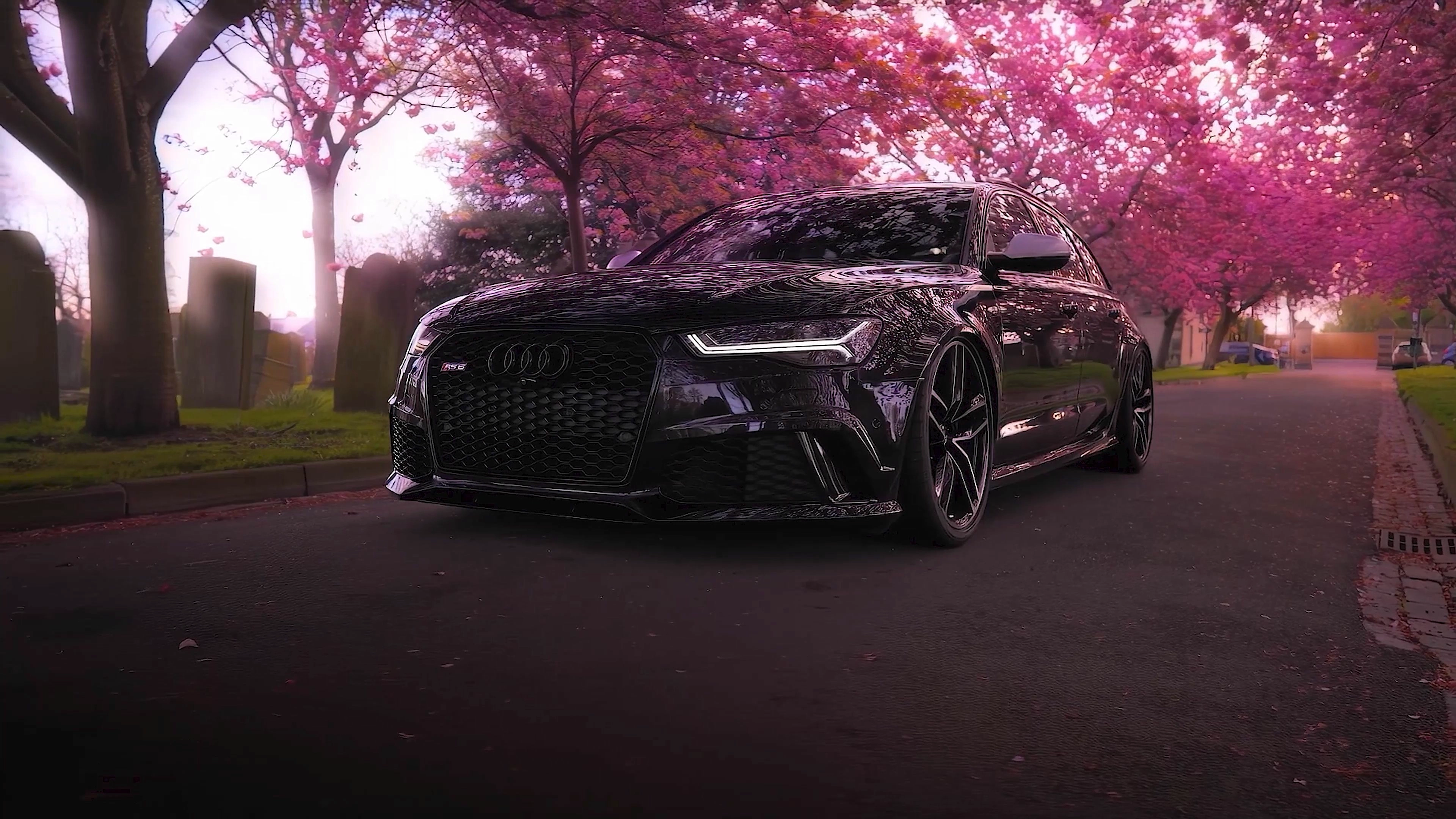 Black Audi RS6 and Rose Trees (Live) banner