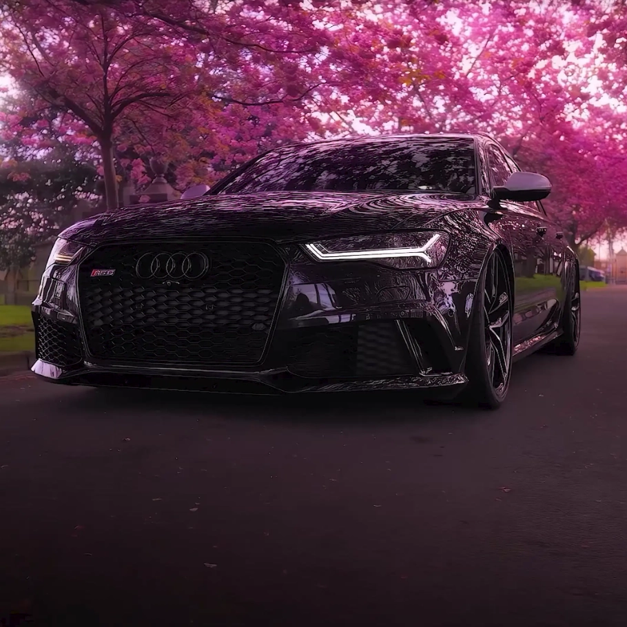Black Audi RS6 and Rose Trees (Live) - Seelen Papel de parede
