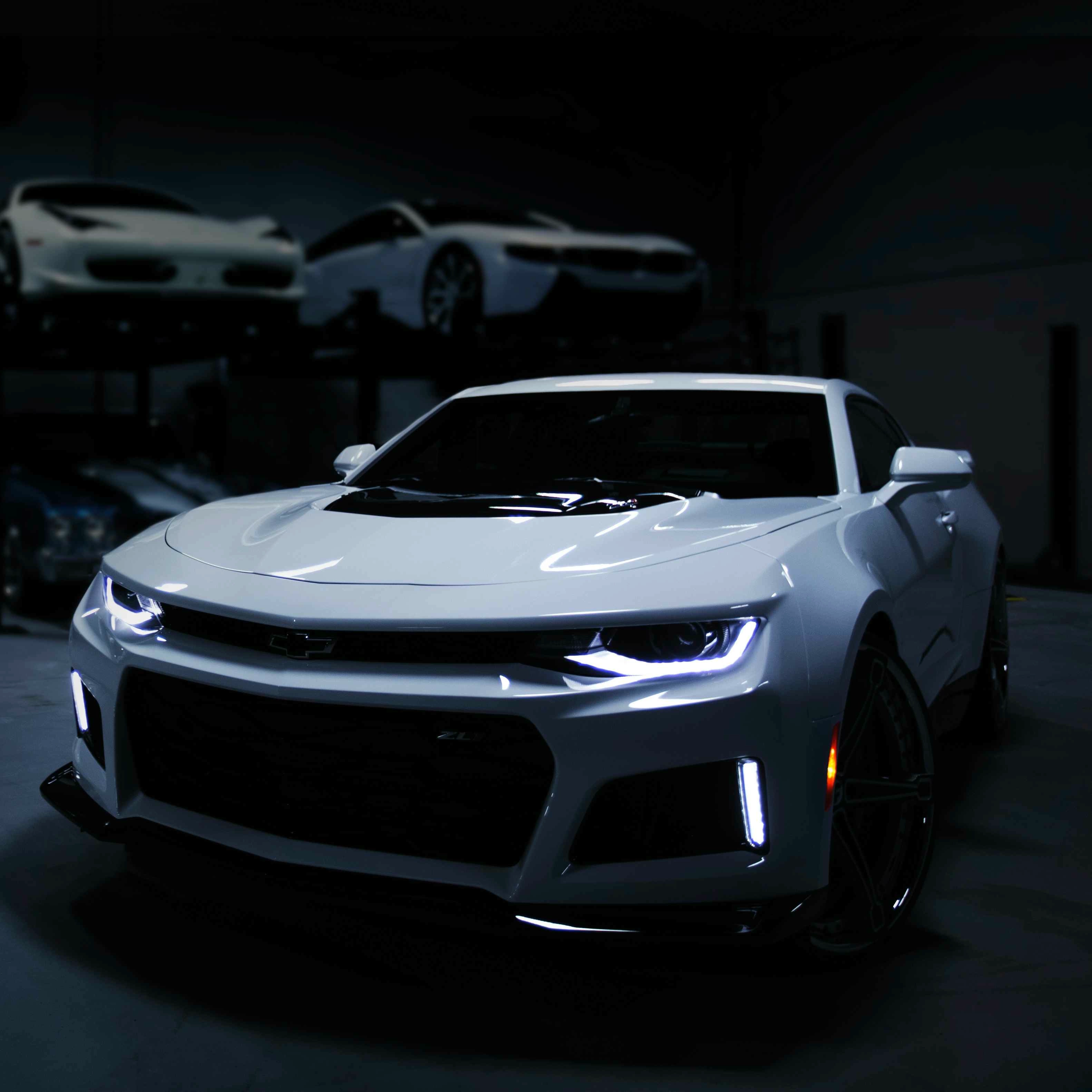 Camero in Garage (Static) - Seelen Behang