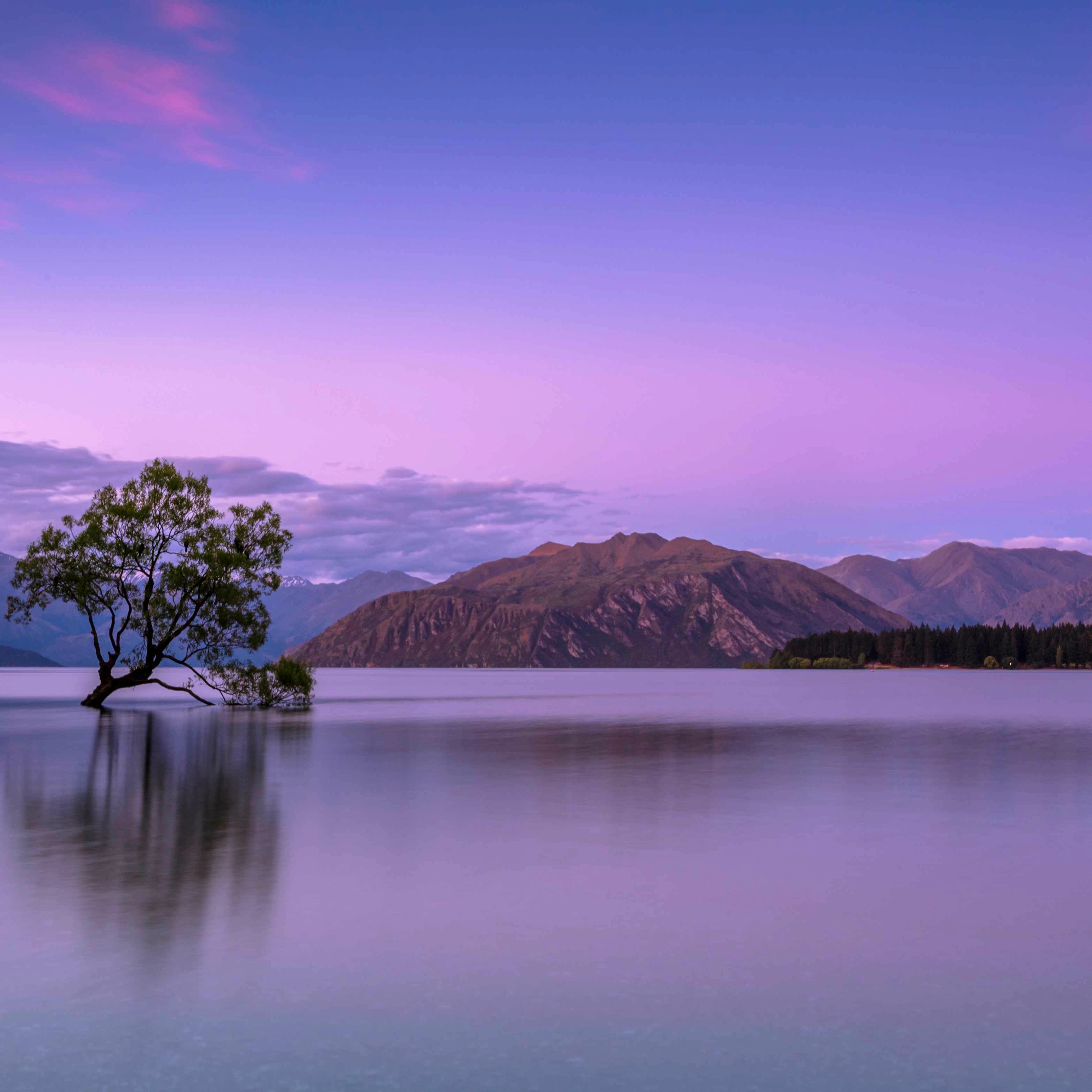 Beauty Of Wanaka (Static) - Seelen Behang