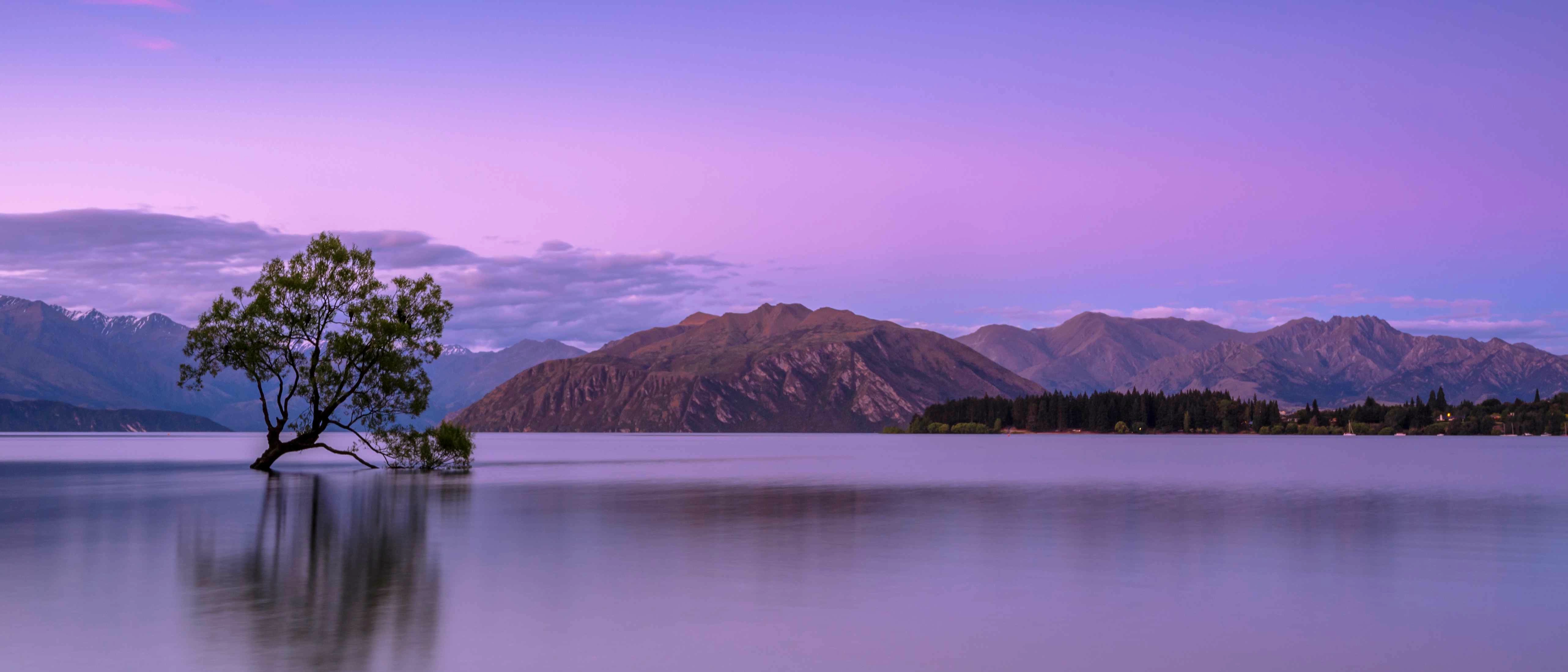 Beauty Of Wanaka (Static) banner