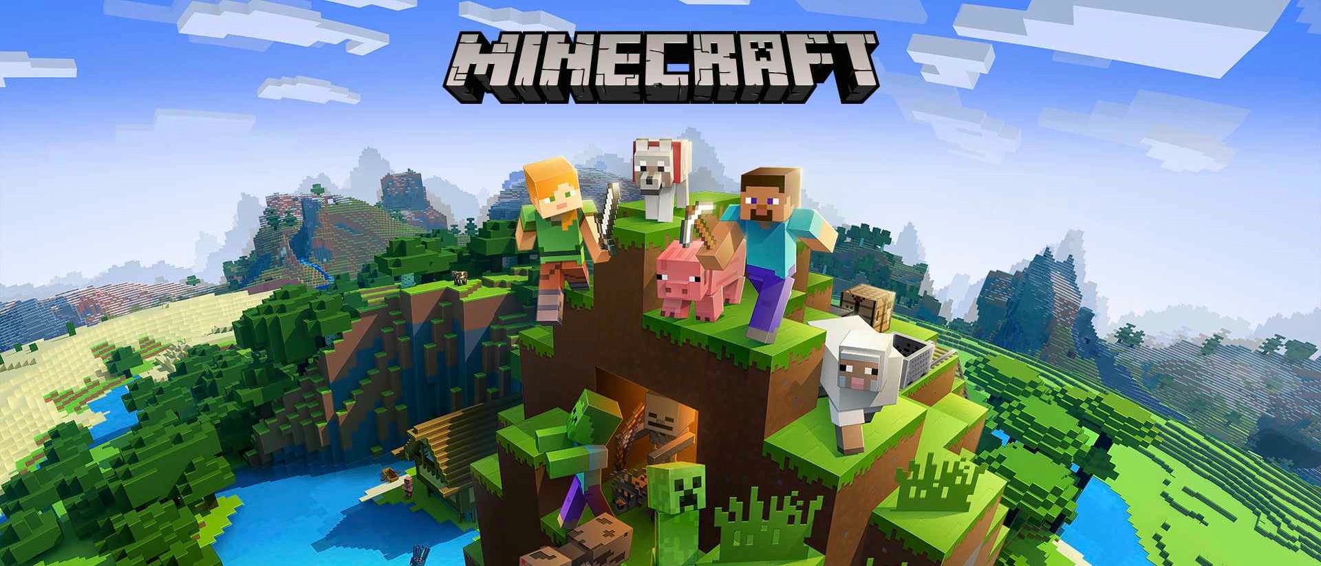Minecraft OverWorld (Static) banner