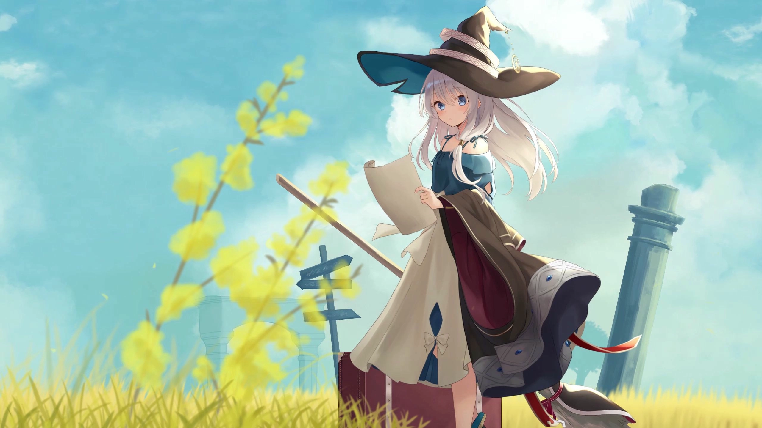 The Journey of Elaina reads in the field (Live) banner
