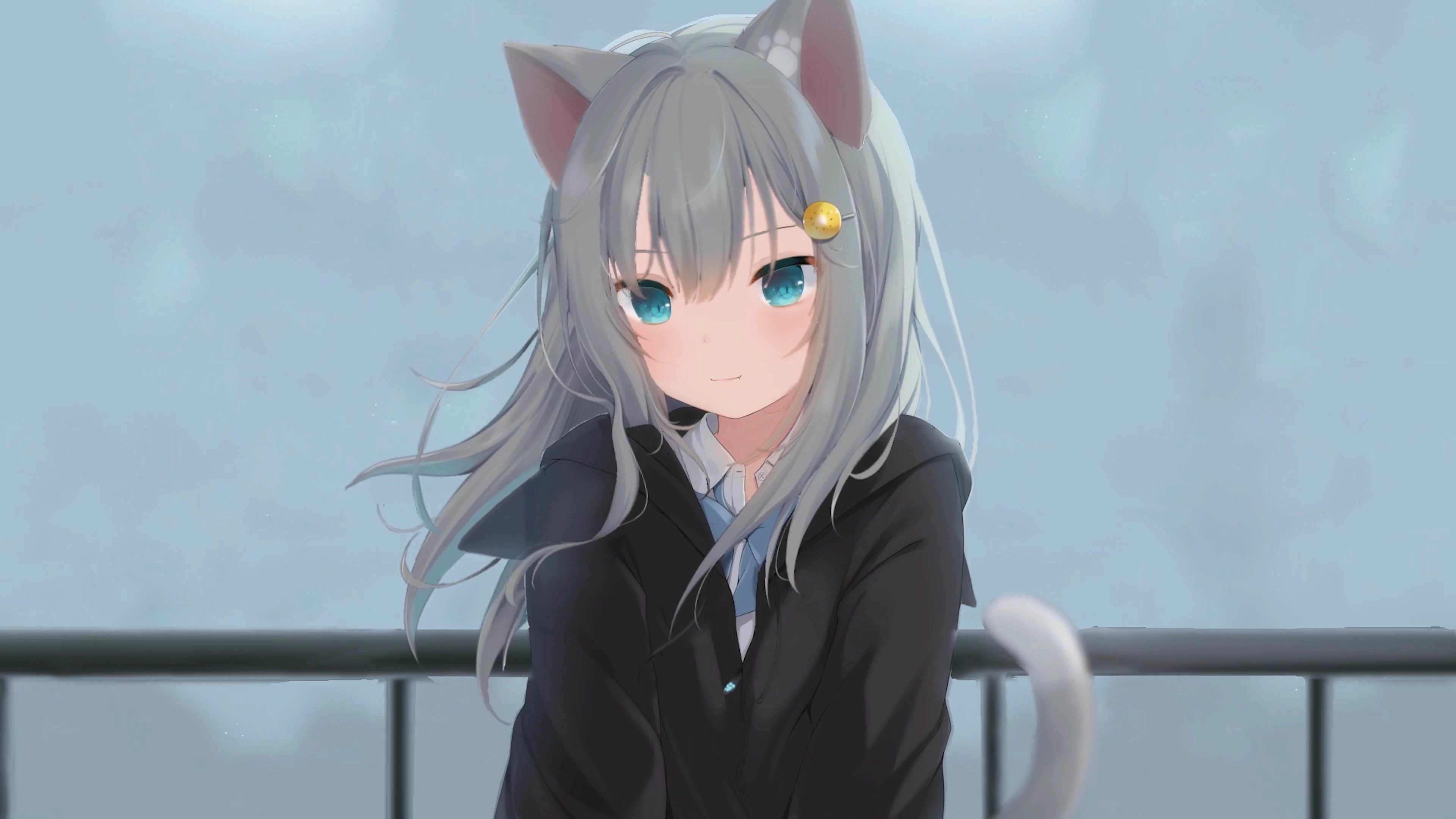 Neko Cat Feather Shizuku (Live) banner