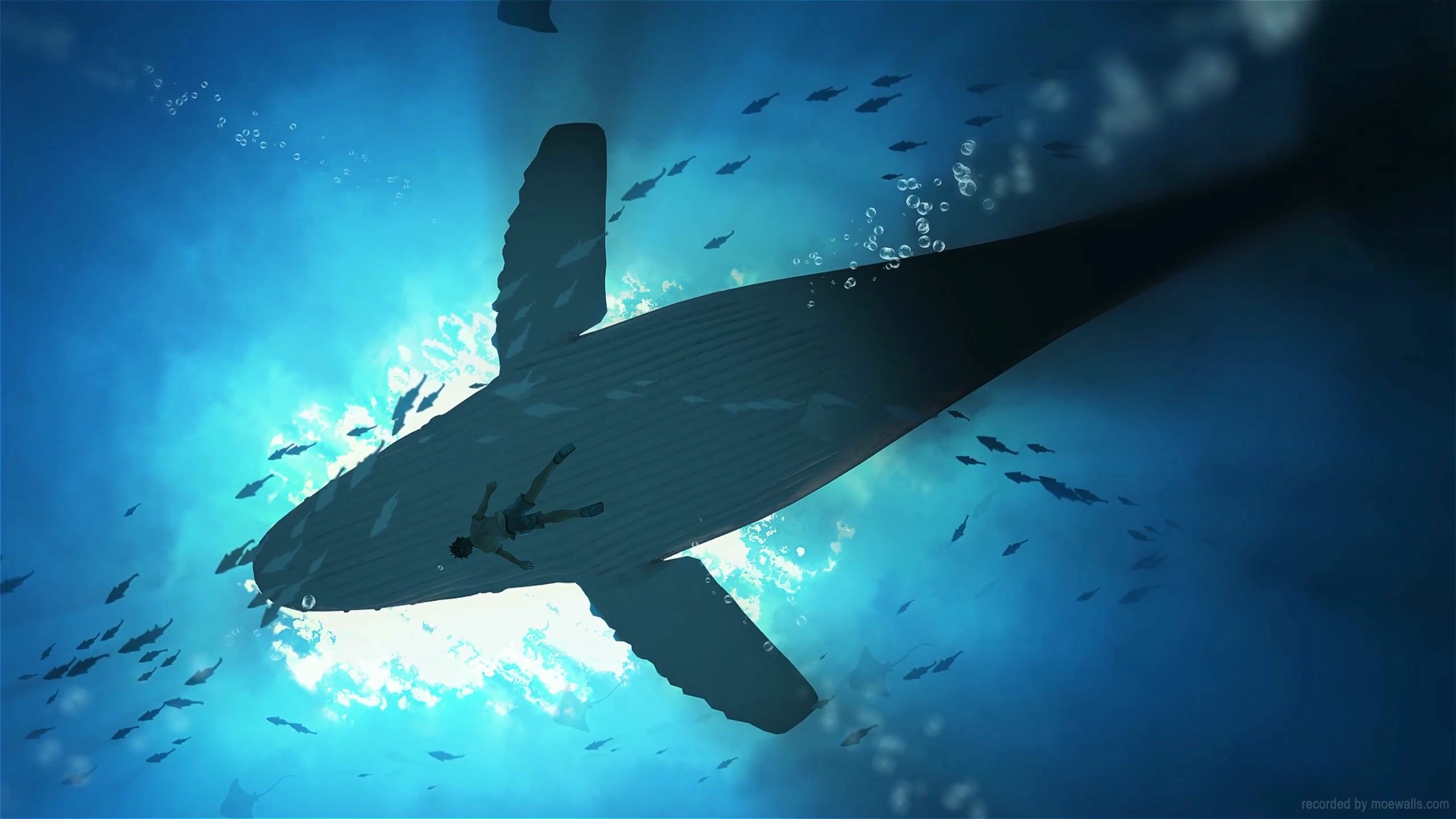 Blue Depths (Live) banner