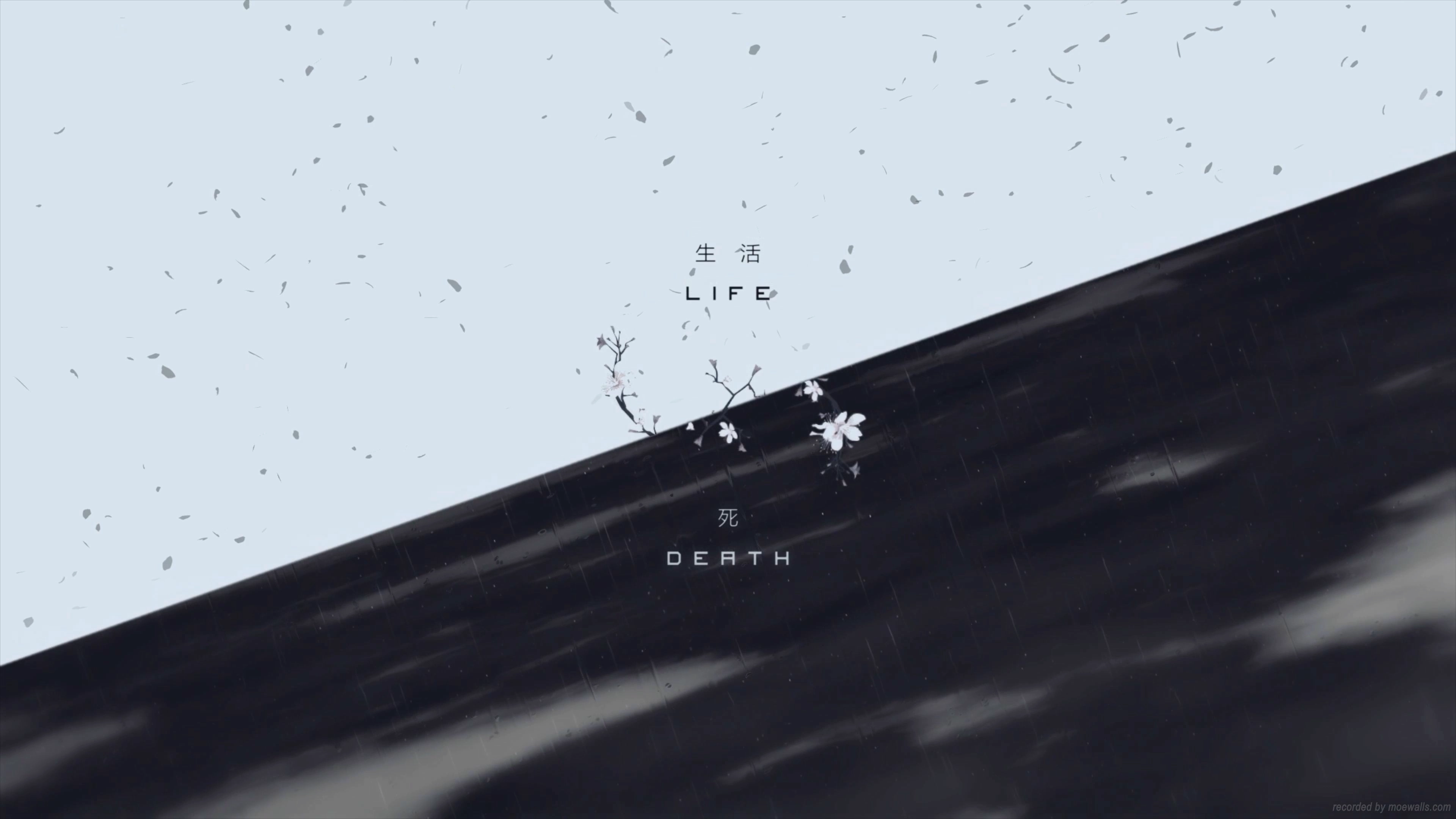 Life & Death Contrast (Live) banner