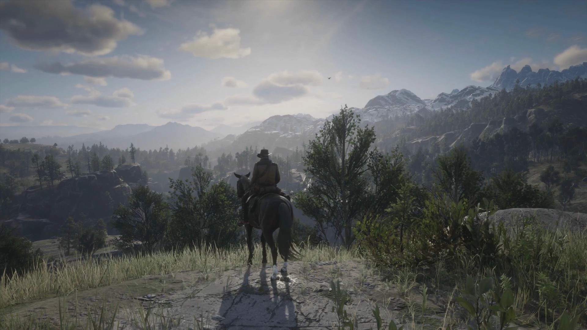 Red Dead Redemption 2 (Live) banner