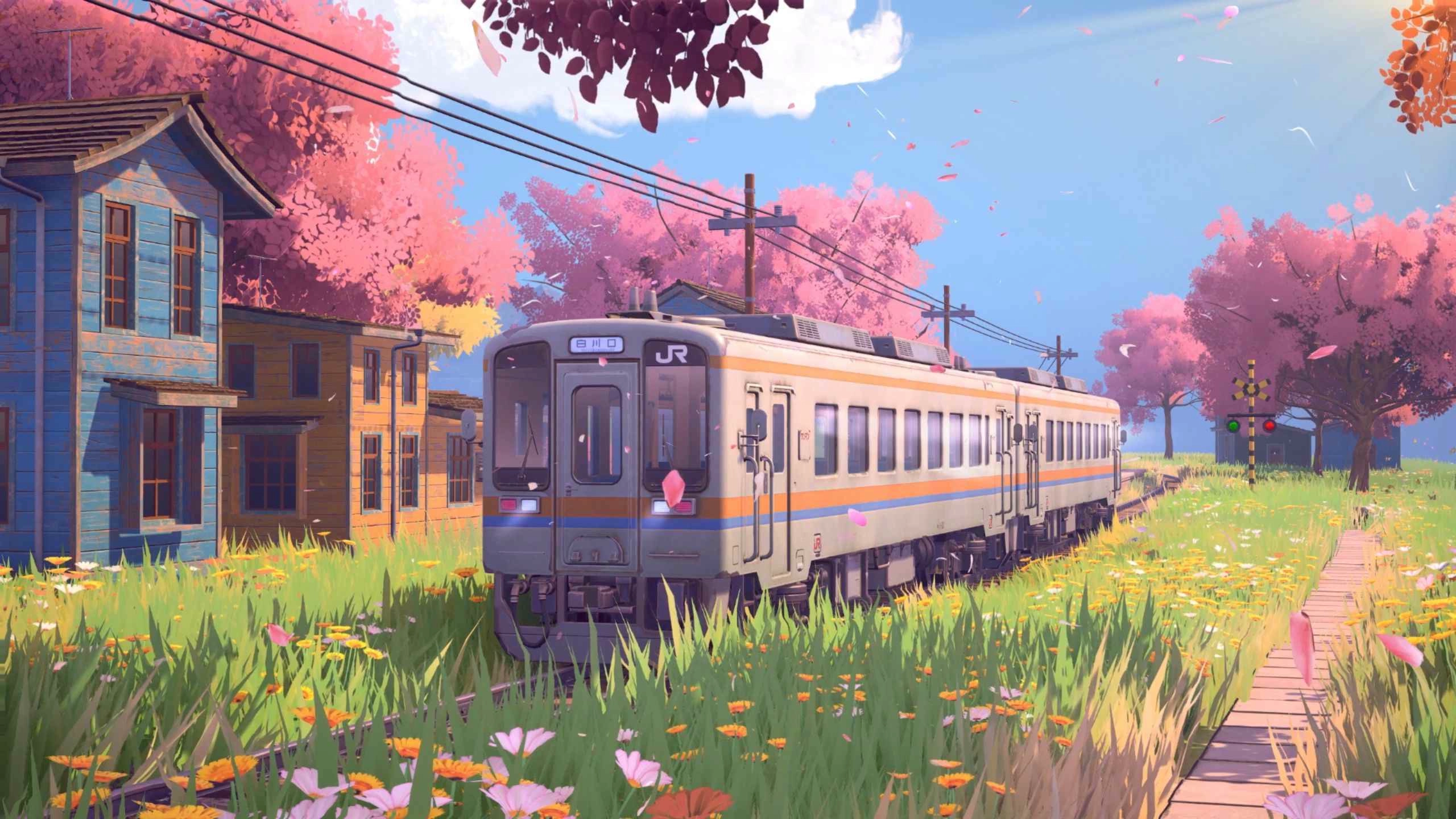 Cherry Blossom Train (Live) - Wallpaper screenshot - Seelen UI