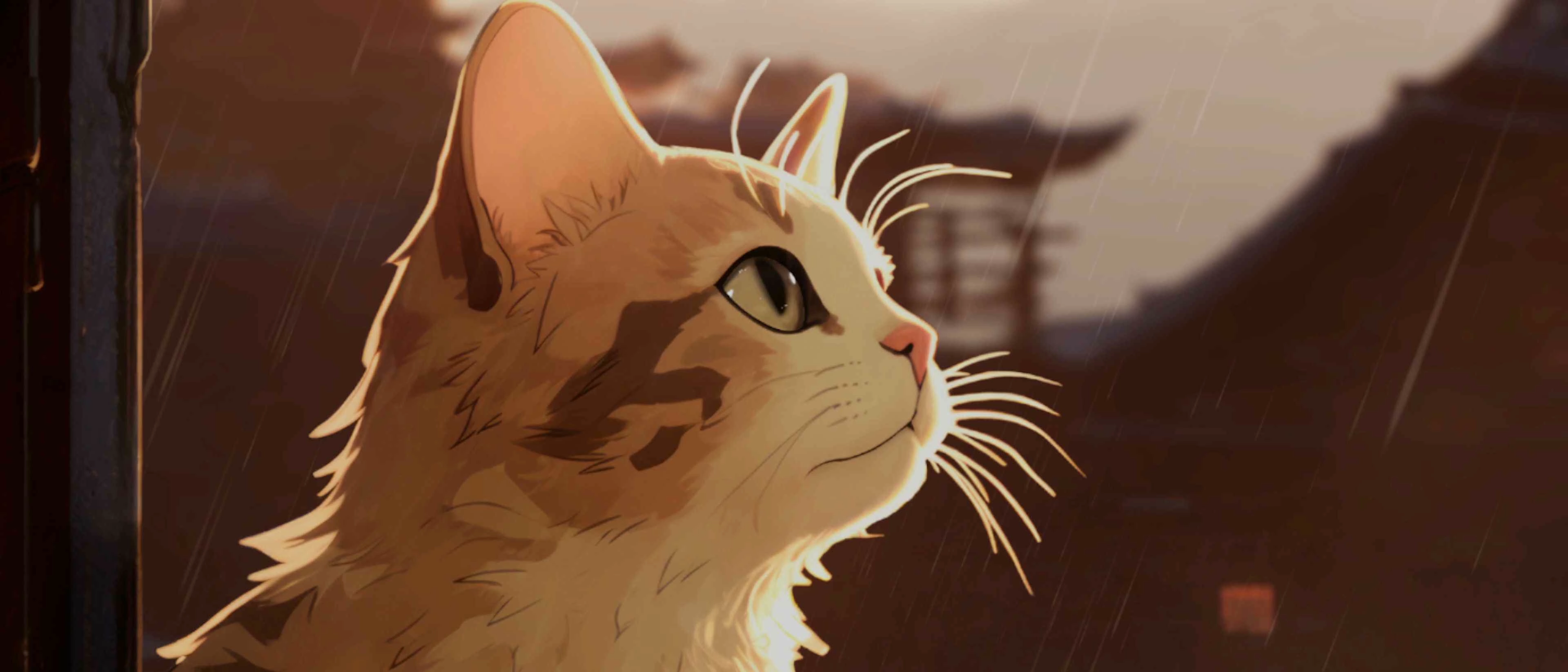 Cat under rain (Live) banner