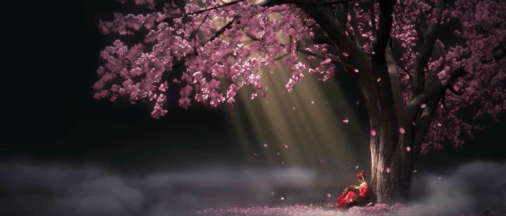 Cherry Blossom Falling Girl (Live) banner