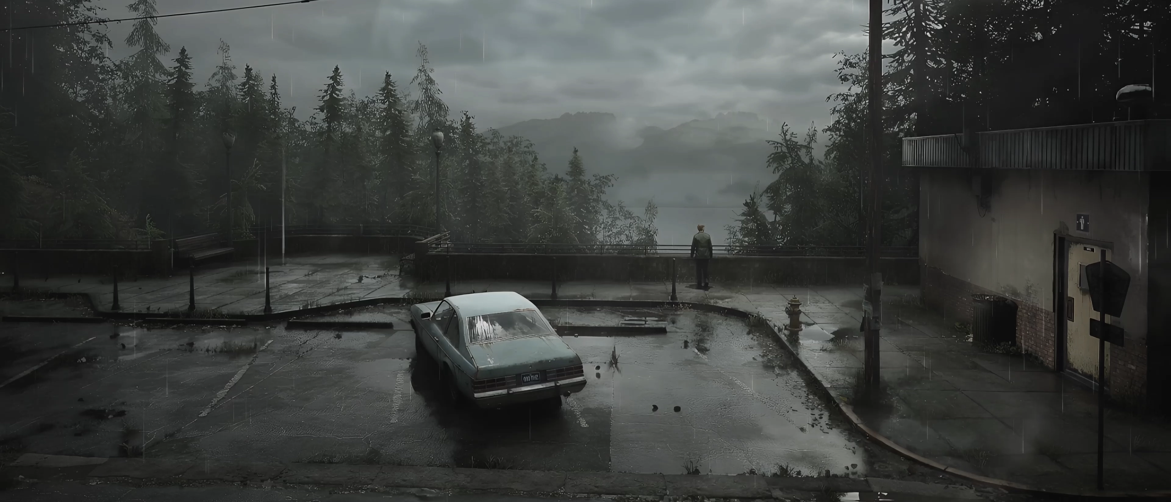 Silent Hill (Rain) banner