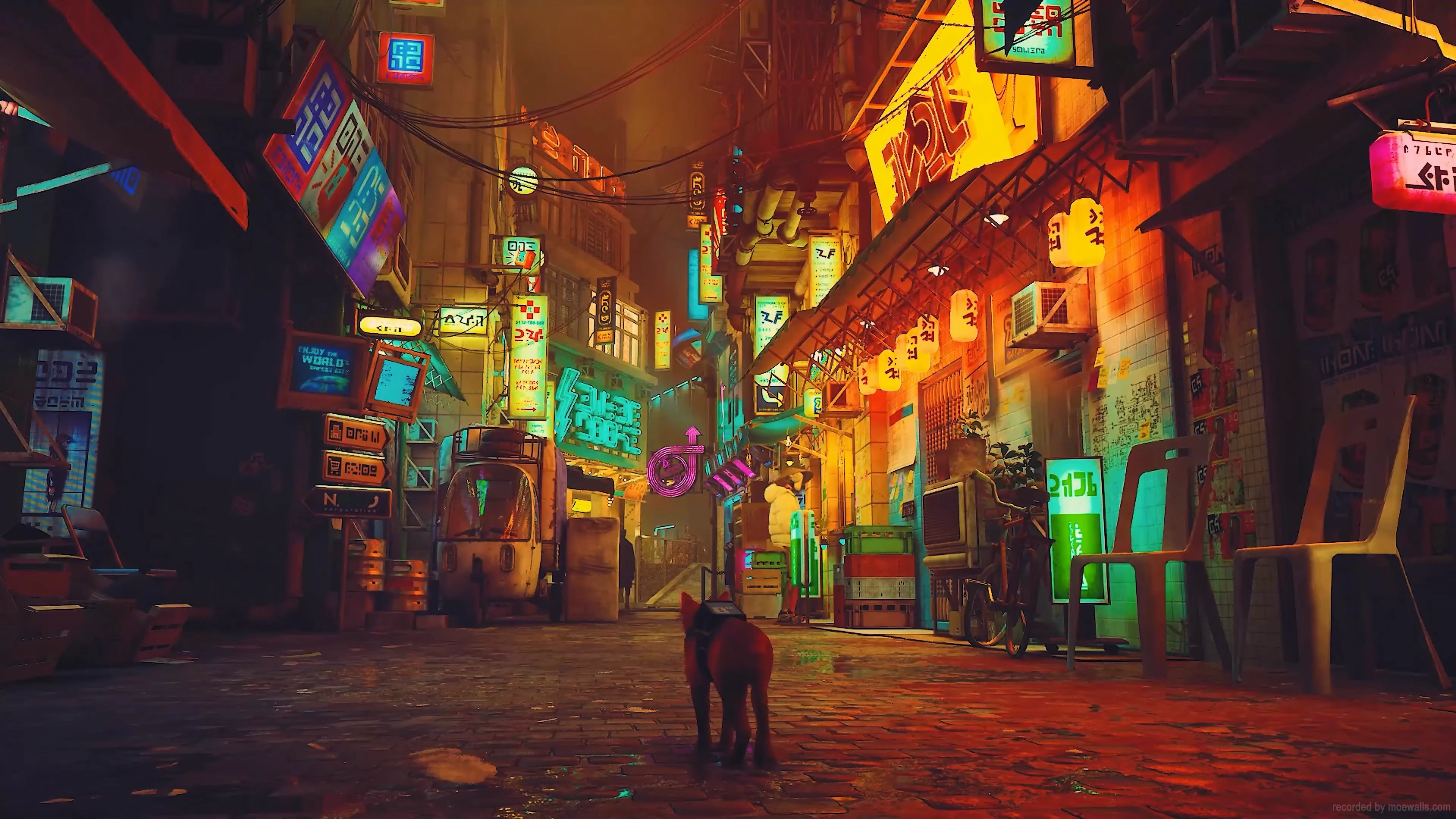 Stray Streets {STRAY} (Live) banner