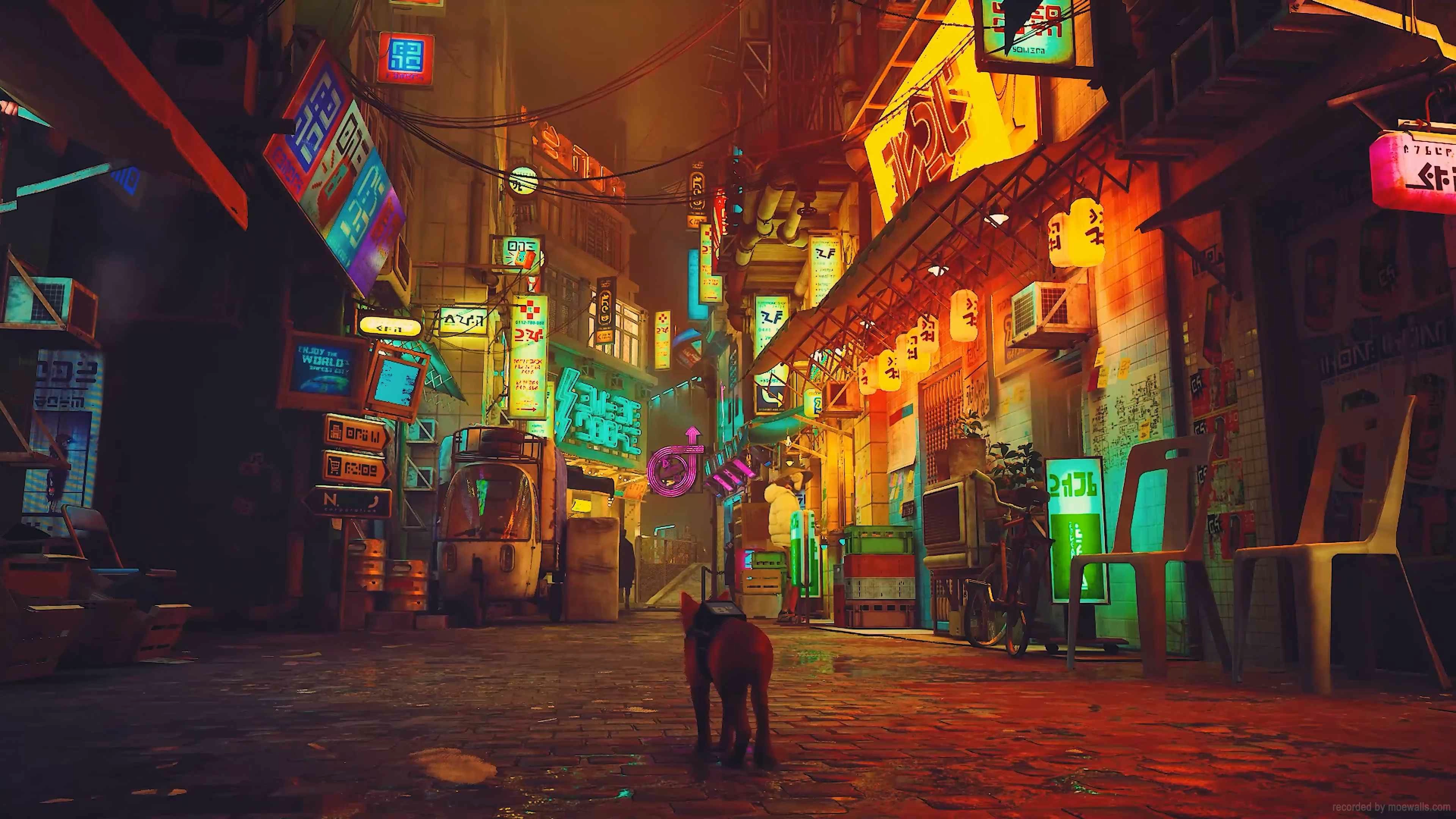 Stray Streets {STRAY} (Live) - Wallpaper screenshot - Seelen UI