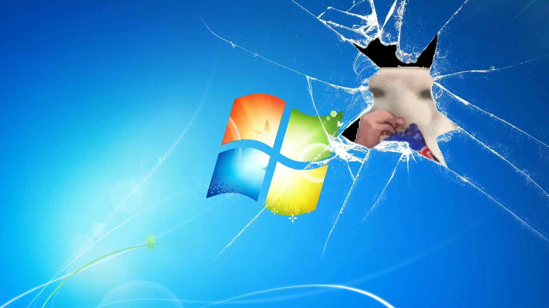 CAT EATING CHEAPS (Live) - Wallpaper screenshot - Seelen UI