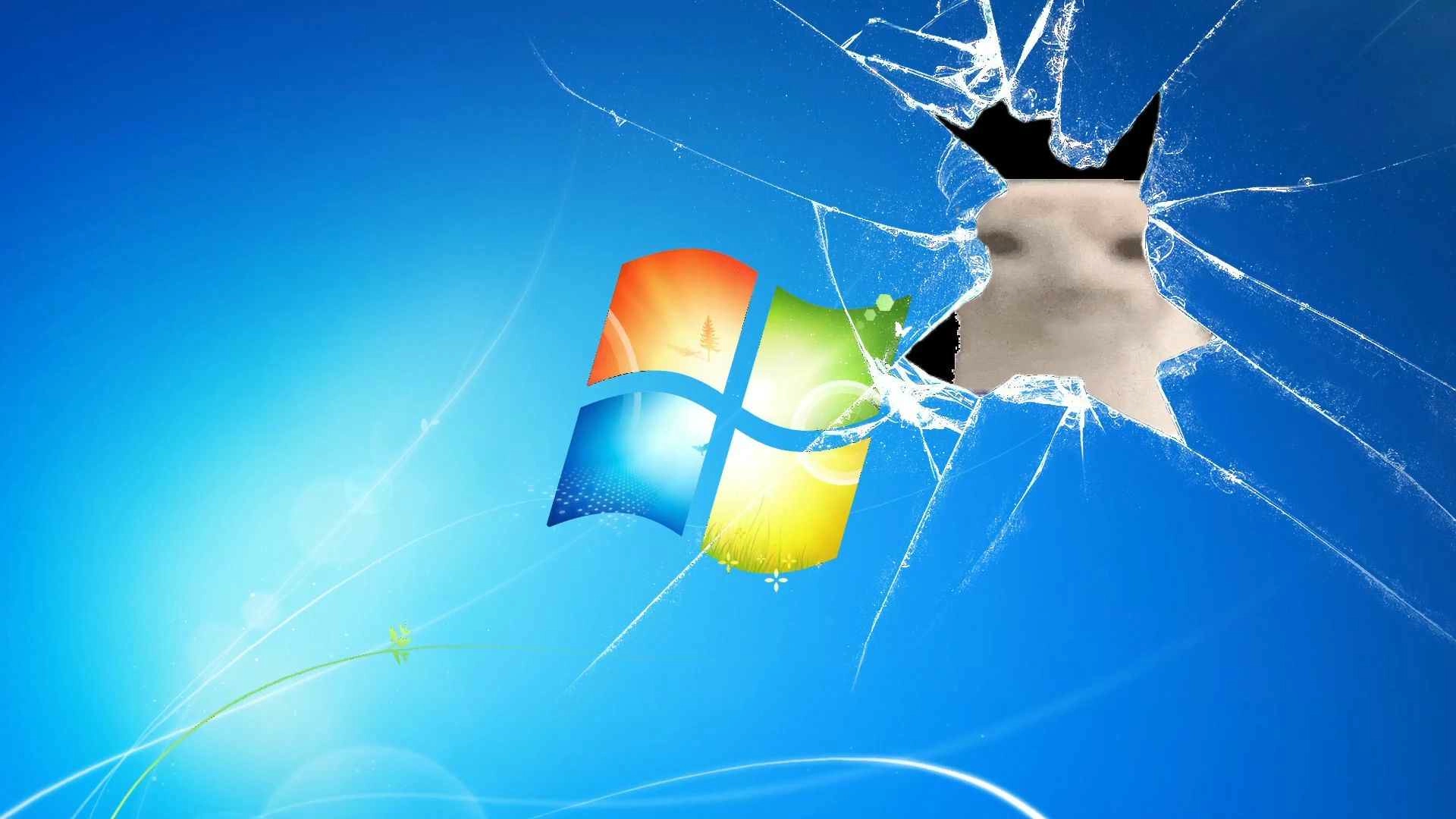 CAT EATING CHEAPS (Live) - Wallpaper screenshot - Seelen UI