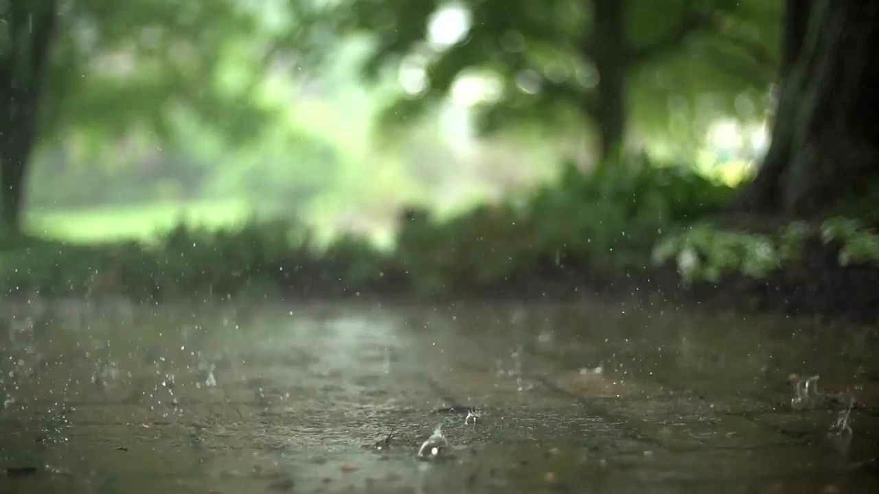 Droplets Raining (Rain) - Wallpaper screenshot - Seelen UI