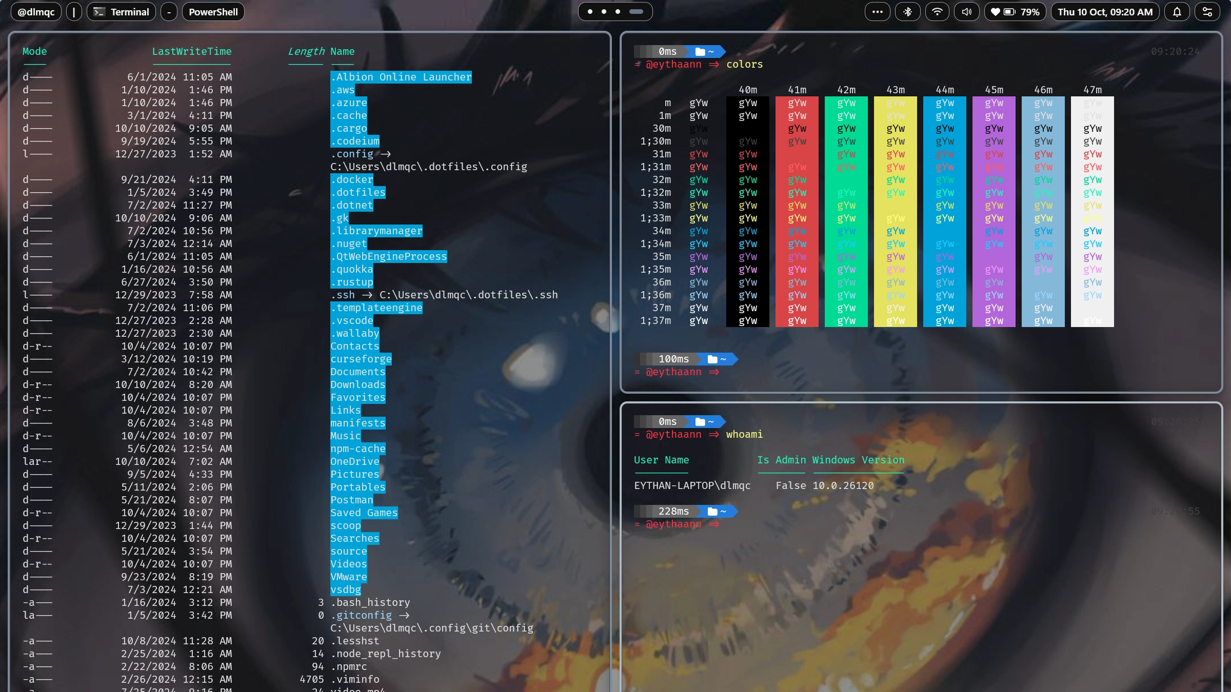 The Seelen UI Story portrait