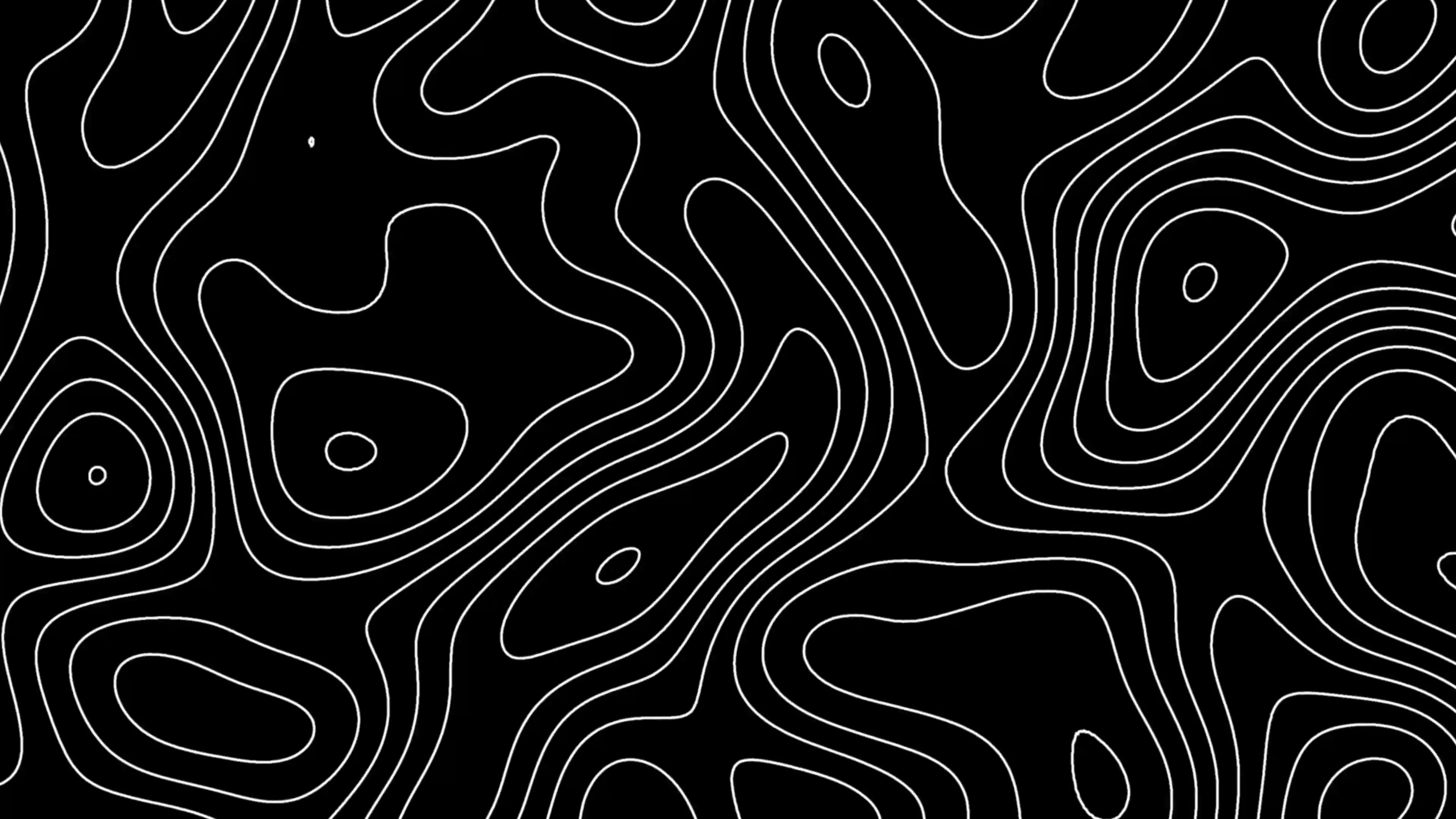 Topograhic lines banner