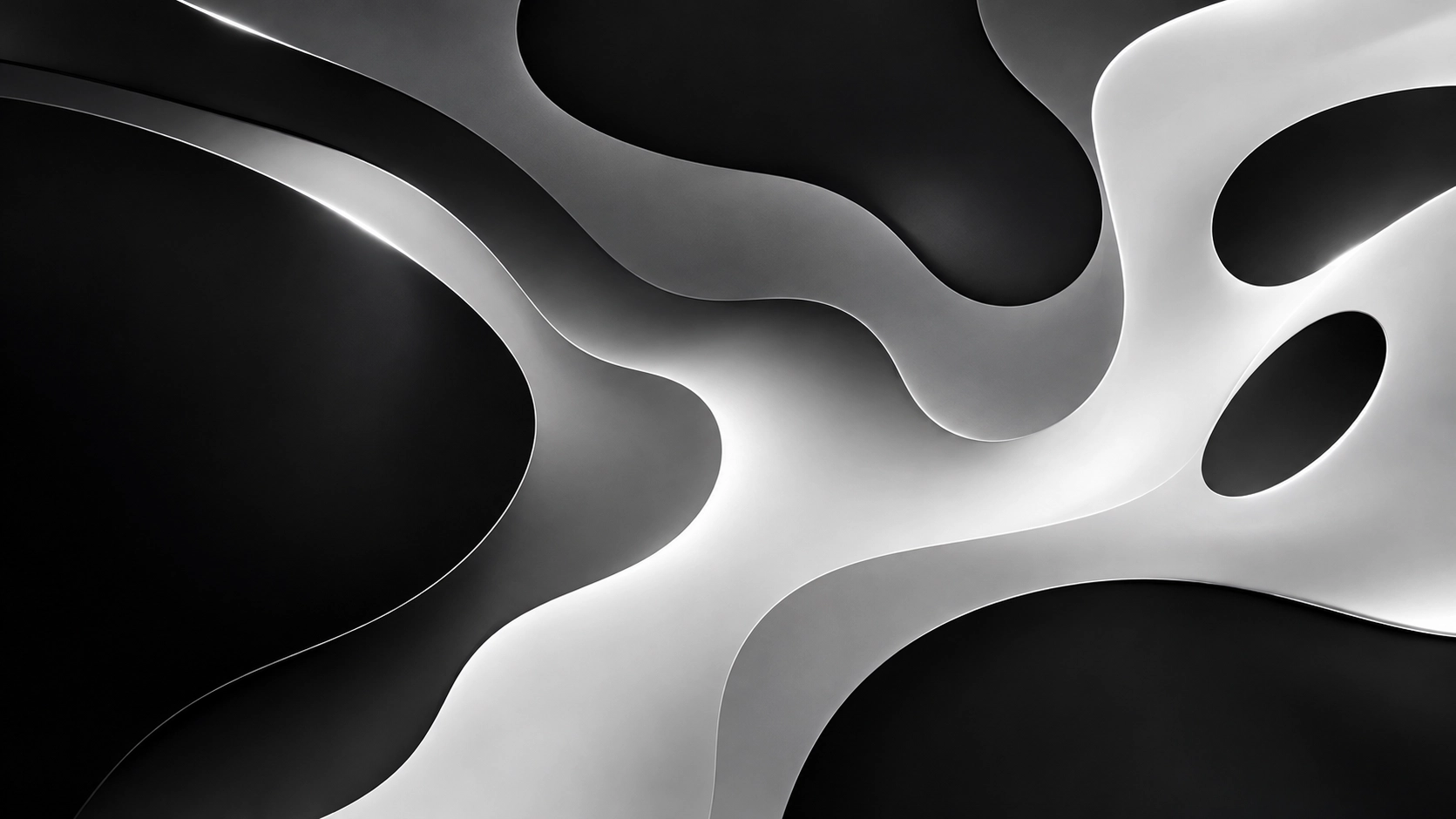 black and white - Wallpaper screenshot - Seelen UI